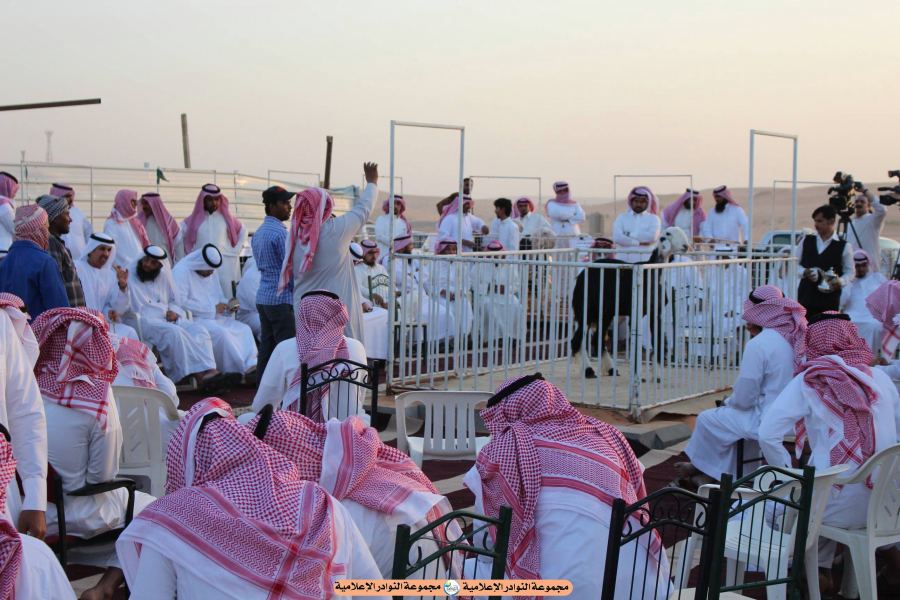 فعاليات مهرجان عنيزة السنوي لنوادر النجدية بتاريخ ٢٩/ ١٢/ ١٤٣٧ هجري الموافق 30 / 9 / 2106 ميلادي